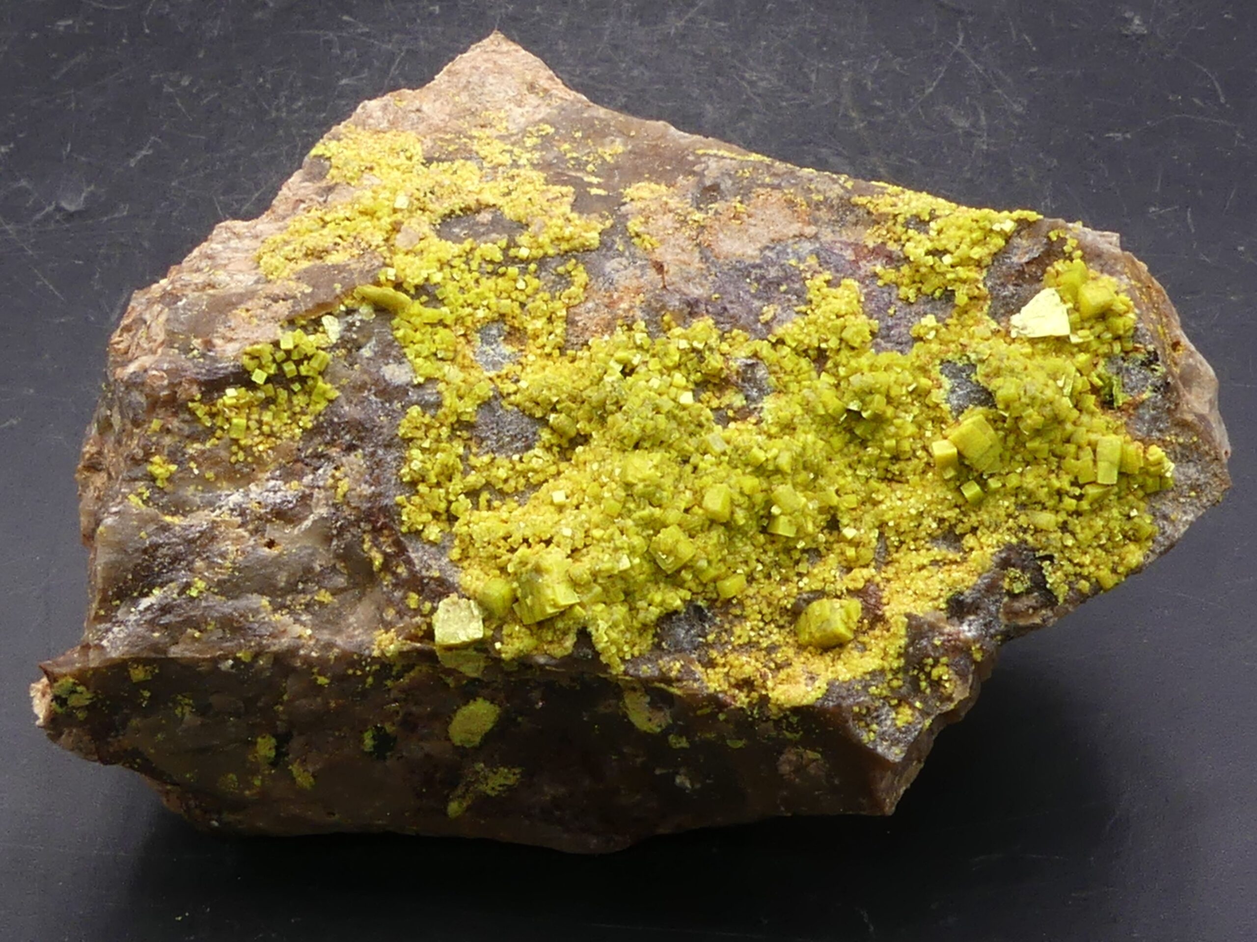 Autunite (Radioactive , vive fluorescence sous UV longs) Les Oudots , Saône et Loire , France . référence : autu125