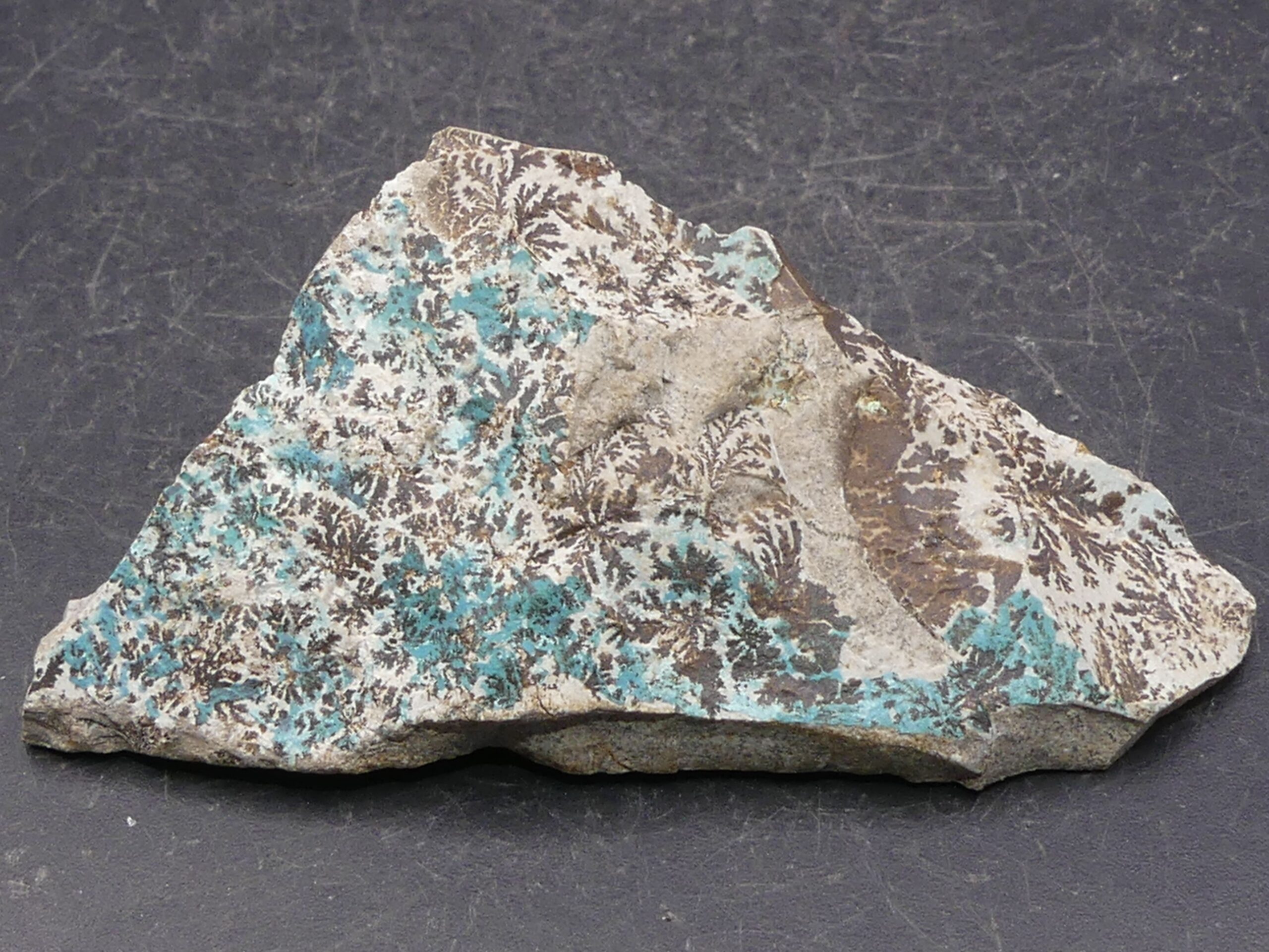 Dendrites (Oxydes de Manganèse) & Chrysocolle , Mine de Tenke-Fungurume , Lualaba , R.D du Congo . référence : dech24