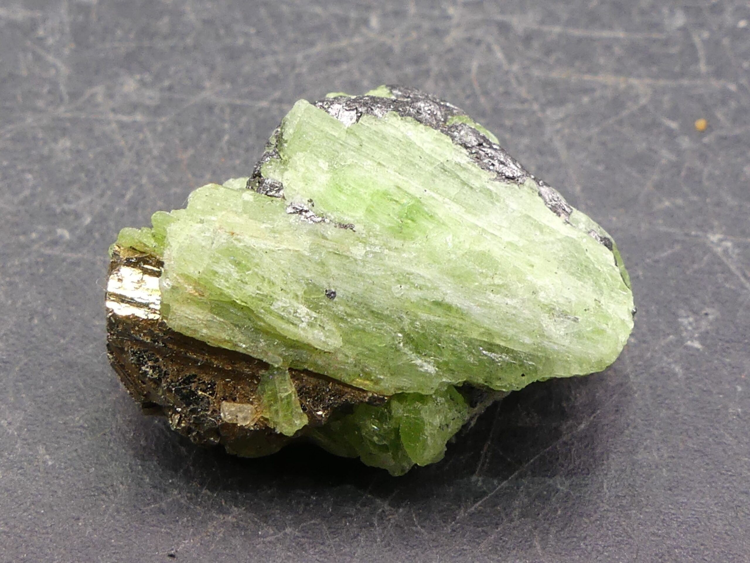 Trémolite , Graphite , Pyrite , Merelani Hills , Arusha , Tanzanie . référence : trem16