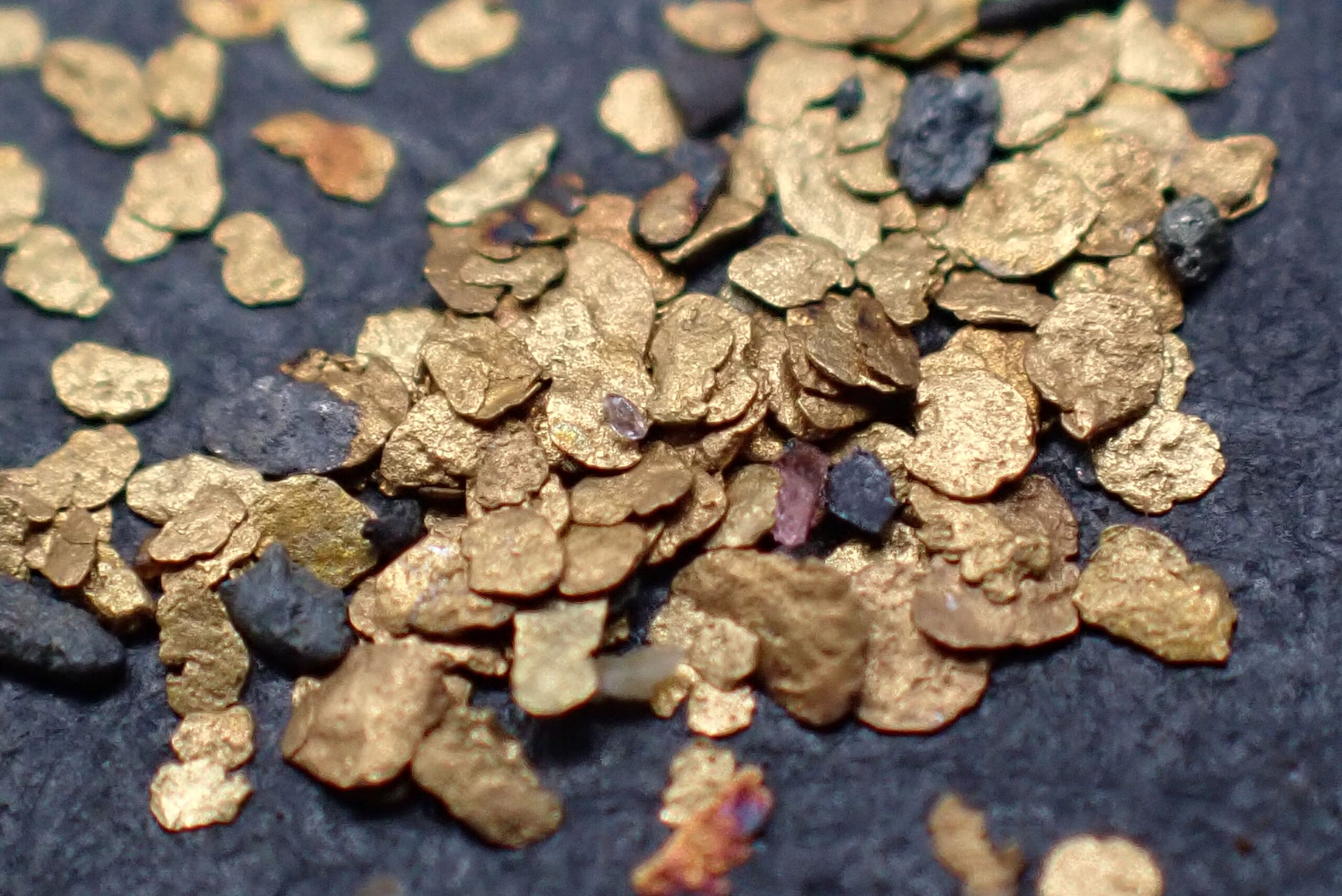 Paillettes d’Or natif , Pougny sur Rhône , Ain , France . référence : orna15